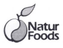 NATUR FOODSFOODS