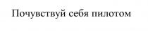 ПОЧУВСТВУЙ СЕБЯ ПИЛОТОМПИЛОТОМ