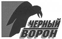 ЧЕРНЫЙ ВОРОН