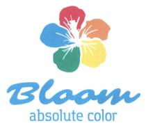 BLOOM ABSOLUTE COLORCOLOR