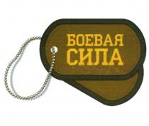 БОЕВАЯ СИЛАСИЛА