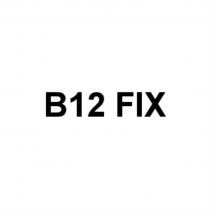 B12 FIXFIX
