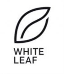 WHITE LEAFLEAF