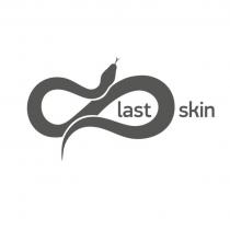 LAST SKINSKIN