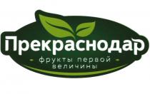 ПРЕКРАСНОДАР ФРУКТЫ ПЕРВОЙ ВЕЛИЧИНЫВЕЛИЧИНЫ