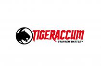 TIGERACCUM STARTER BATTERYBATTERY