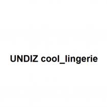 UNDIZ COOL LINGERIELINGERIE