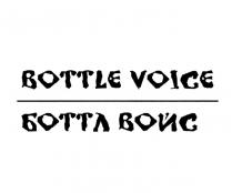 BOTTLE VOICE БОТТЛ ВОЙС