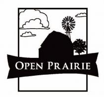 OPEN PRAIRIEPRAIRIE