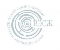 ВЭСЖ ВОССТАНОВЛЕНИЕ ЭНЕРГЕТИЧЕСКОЙ СВЯЗИ С ЖИЗНЬЮЖИЗНЬЮ