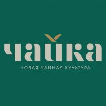 ЧАЙКА НОВАЯ ЧАЙНАЯ КУЛЬТУРАКУЛЬТУРА