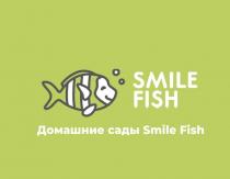 SMILE FISH ДОМАШНИЕ САДЫСАДЫ