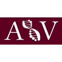 AVAV