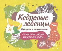 КЕДРОВЫЕ ЛЕДЕНЦЫ ДЛЯ ГОРЛА И ИММУНИТЕТА С ЛИМОНОМ МЁДОМ И ЖИВИЦЕЙ КЕДРАМEДОМ КЕДРА