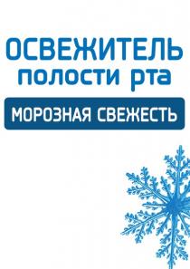 ОСВЕЖИТЕЛЬ ПОЛОСТИ РТА МОРОЗНАЯ СВЕЖЕСТЬСВЕЖЕСТЬ