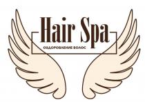 HAIR SPA ОЗДОРОВЛЕНИЕ ВОЛОСВОЛОС