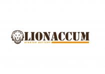 LIONACCUM STARTER BATTERYBATTERY