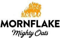 MORNFLAKE MIGHTY OATSOATS