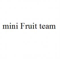 MINI FRUIT TEAMTEAM