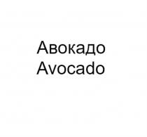 АВОКАДО AVOCADOAVOCADO