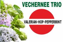 VECHERNEE TRIO VALERIAN + HOP + PEPPERMINT+ + PEPPERMINT