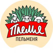 ПЛЕМЯ ПЕЛЬМЕНЯПЕЛЬМЕНЯ