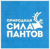 ПРИРОДНАЯ СИЛА ПАНТОВПАНТОВ