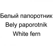 БЕЛЫЙ ПАПОРОТНИК BELY PAPOROTNIK WHITE FERNFERN