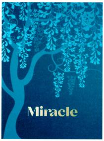 MIRACLEMIRACLE