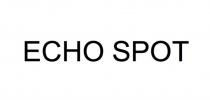 ECHO SPOTSPOT