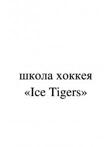 ШКОЛА ХОККЕЯ ICE TIGERSTIGERS