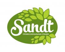 SANDT ПРОФЕССИОНАЛЬНЫЕ СПЕЦИИСПЕЦИИ