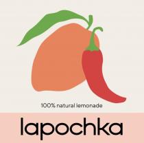 LAPOCHKA NATURAL LEMONADELEMONADE