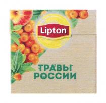 LIPTON ТРАВЫ РОССИИРОССИИ