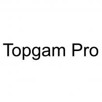 TOPGAM PROPRO