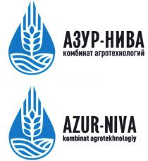 АЗУР-НИВА КОМБИНАТ АГРОТЕХНОЛОГИЙ AZUR-NIVA KOMBINAT AGROTEKHNOLOGIYAGROTEKHNOLOGIY