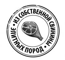 ИЗ СОБСТВЕННОЙ СВИНИНЫ ЭЛИТНЫХ ПОРОДПОРОД