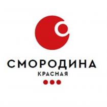 СМОРОДИНА КРАСНАЯКРАСНАЯ