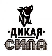 ДИКАЯ СИЛАСИЛА