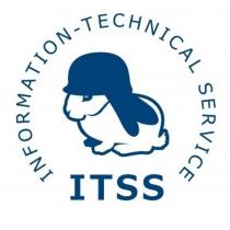 ITSS INFORMATION-TECHNICAL SERVICESERVICE