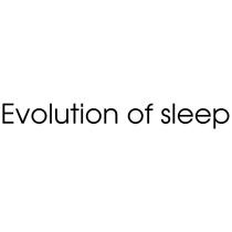 EVOLUTION OF SLEEPSLEEP