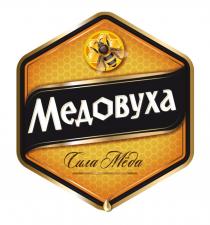 МЕДОВУХА СИЛА МЕДА
