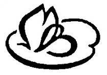 М В M B MB МВ