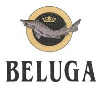 BELUGABELUGA