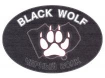 BLACK WOLF ЧЕРНЫЙ ВОЛКВОЛК