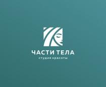 ЧАСТИ ТЕЛА СТУДИЯ КРАСОТЫКРАСОТЫ