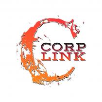 CORP LINKLINK