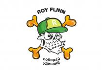 ROY FLINN СОБИРАЙ УДИВЛЯЙУДИВЛЯЙ