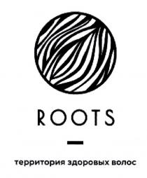 ROOTS ТЕРРИТОРИЯ ЗДОРОВЫХ ВОЛОСВОЛОС