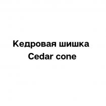 КЕДРОВАЯ ШИШКА CEDAR CONECONE